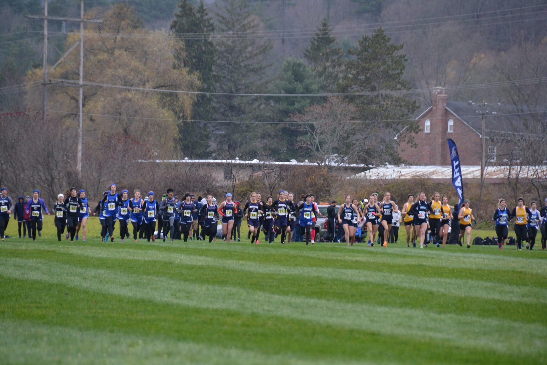 WXC: NCCAA DII Nationals | Photo credit: Ann Bolton