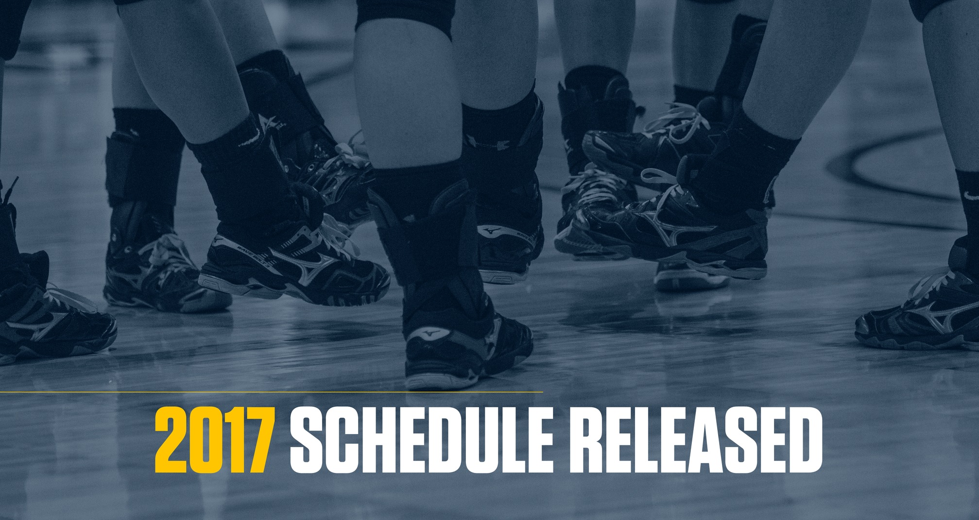 Women's Volleyball Releases 2017 Schedule